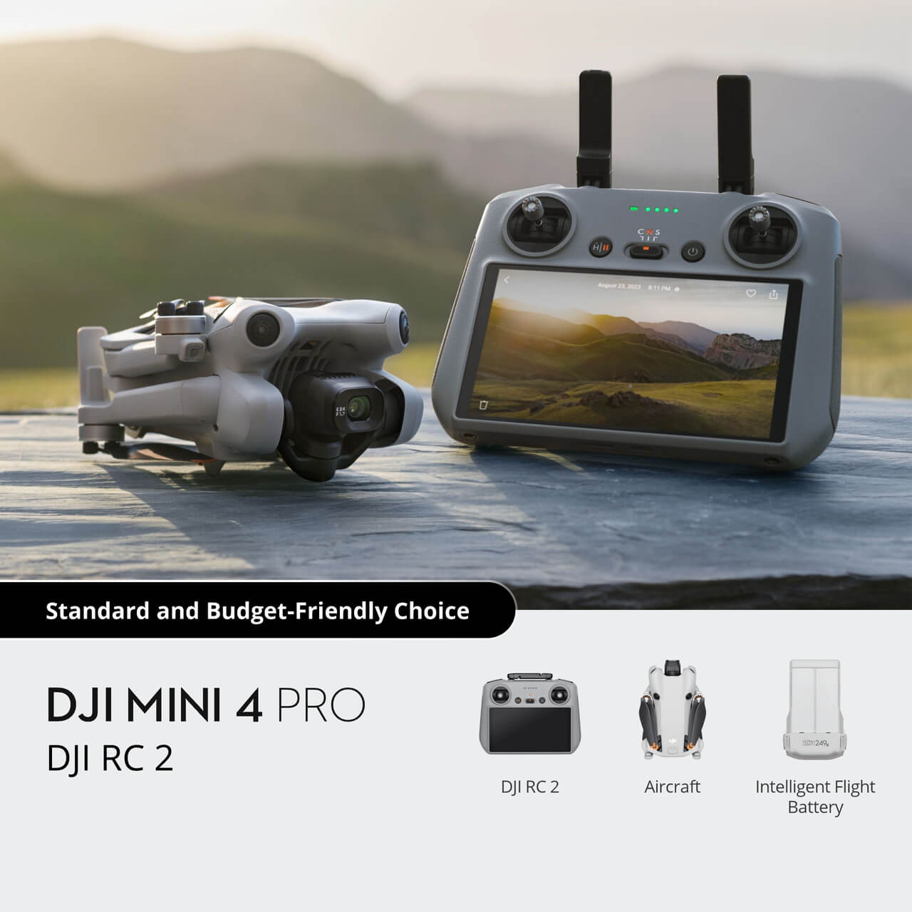 Mini 4 Pro ( RC 2)