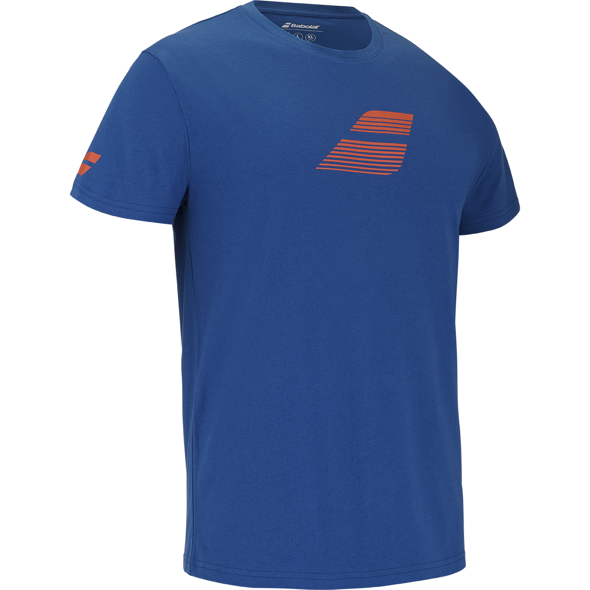 Exercise Big Flag Tee Homme