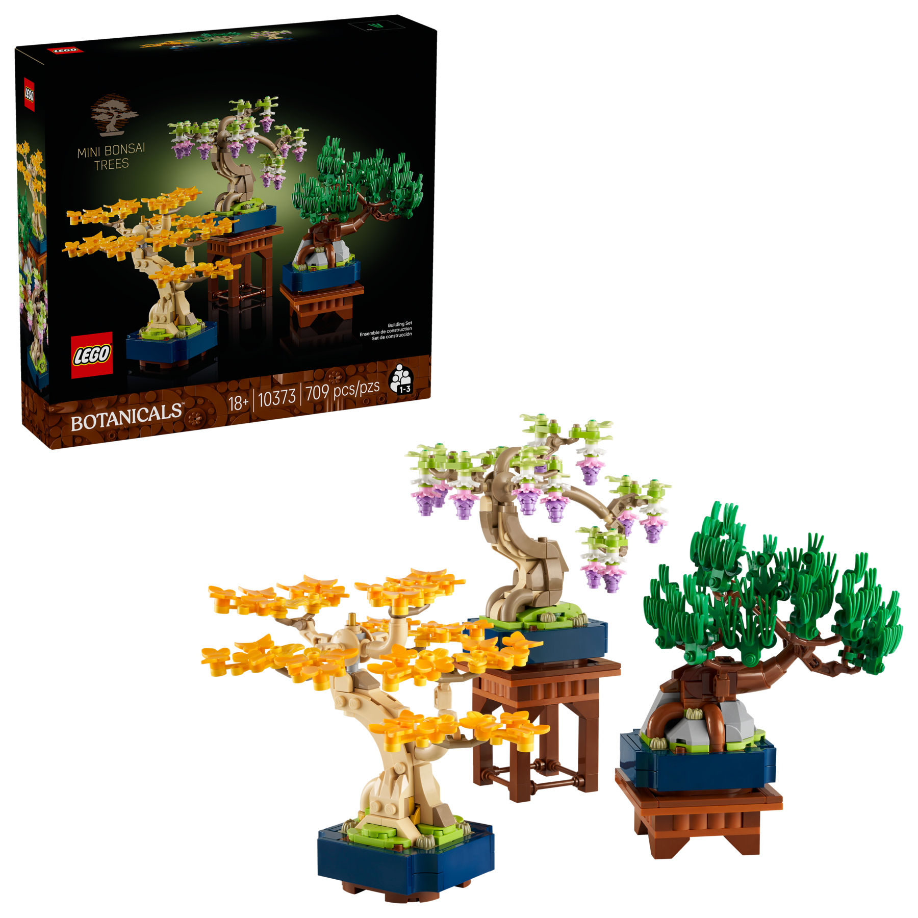 Mini Bonsai Trees