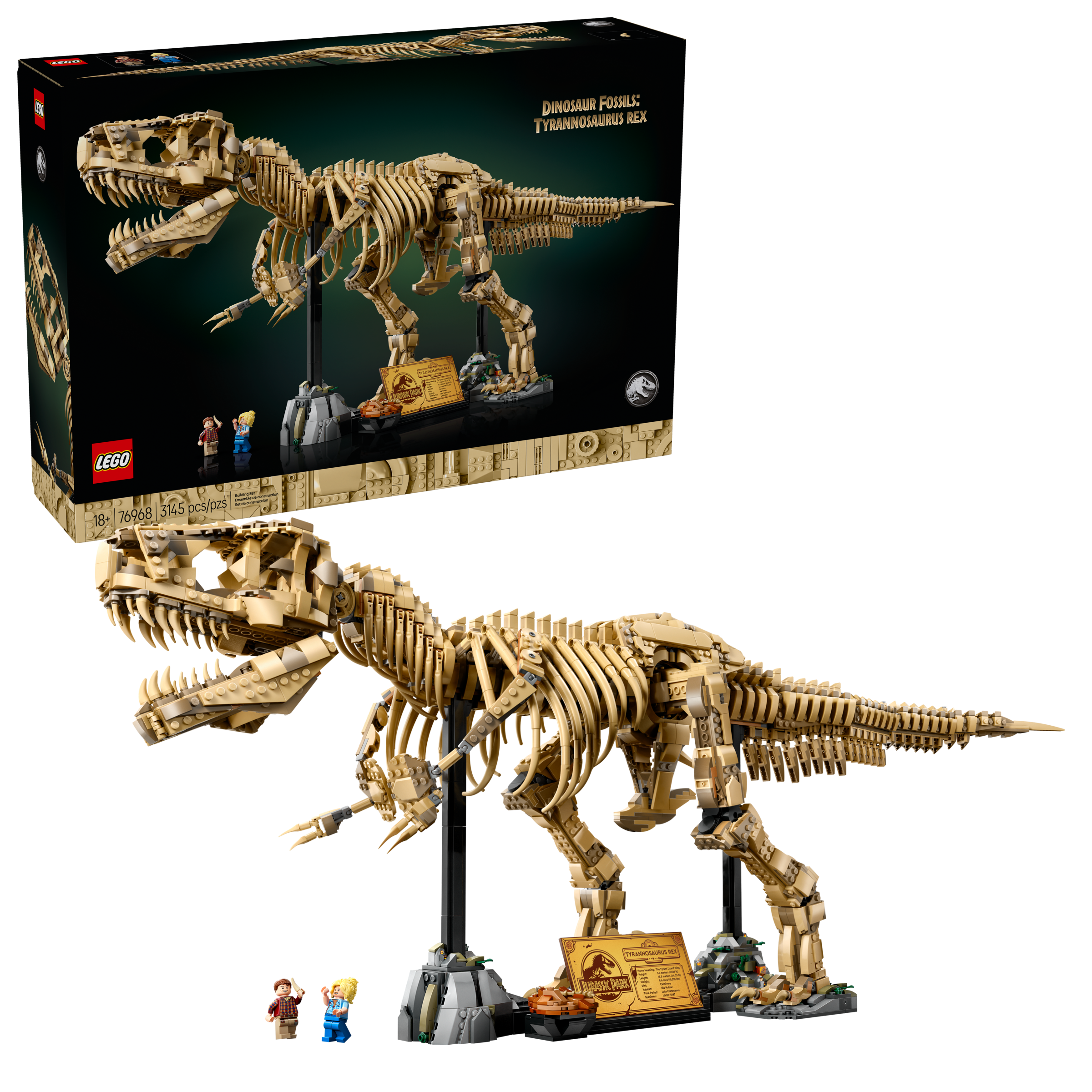 Dinosaur Fossils: Tyrannosaurus rex