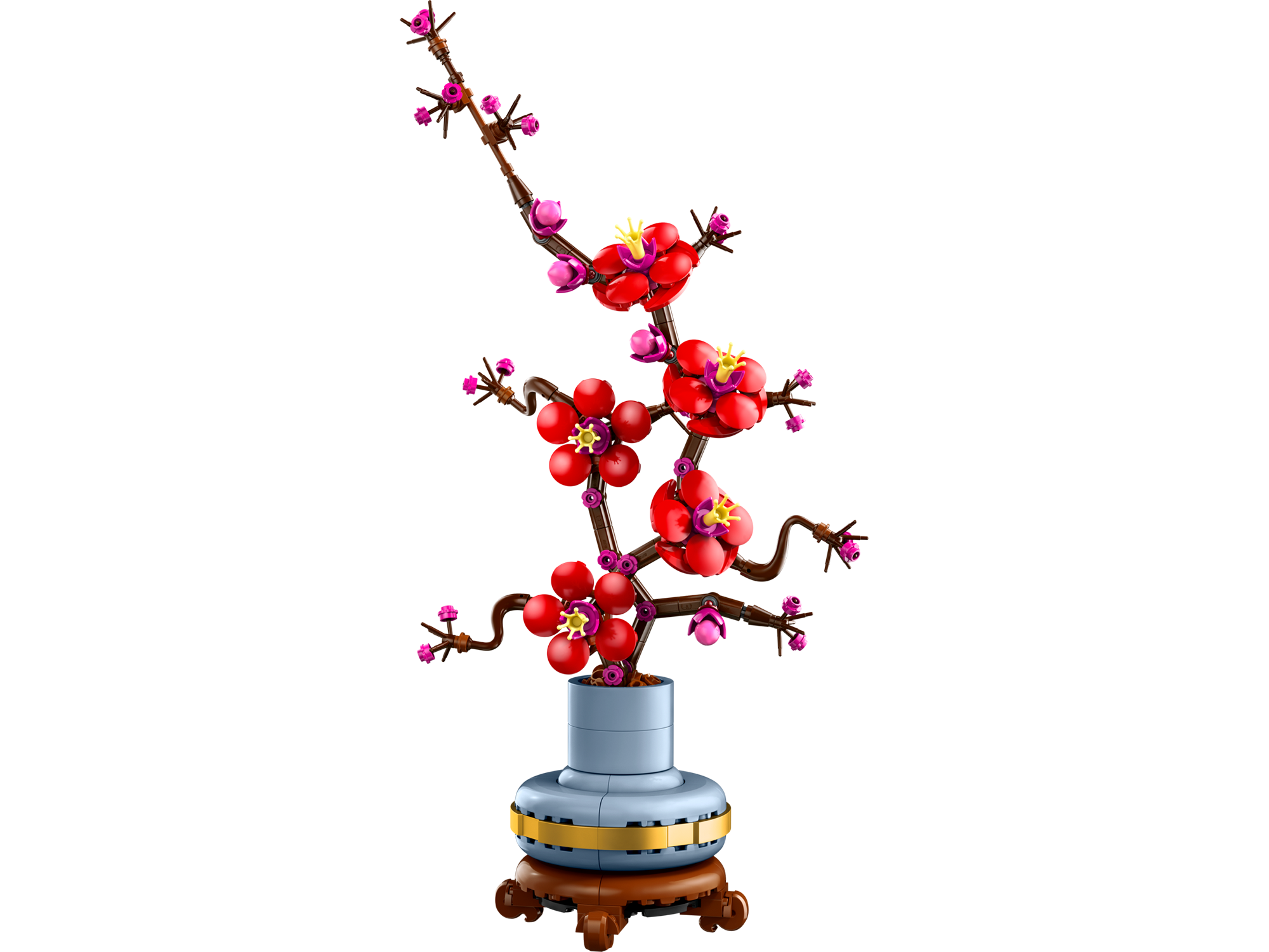 Plum Blossom