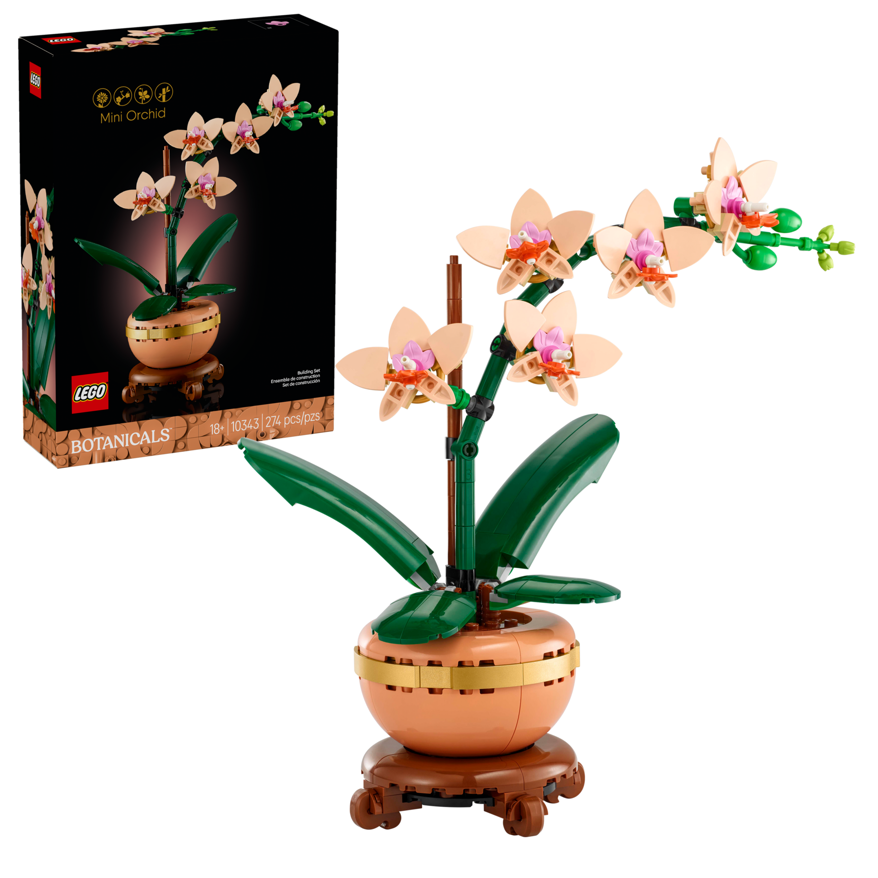 Mini Orchid