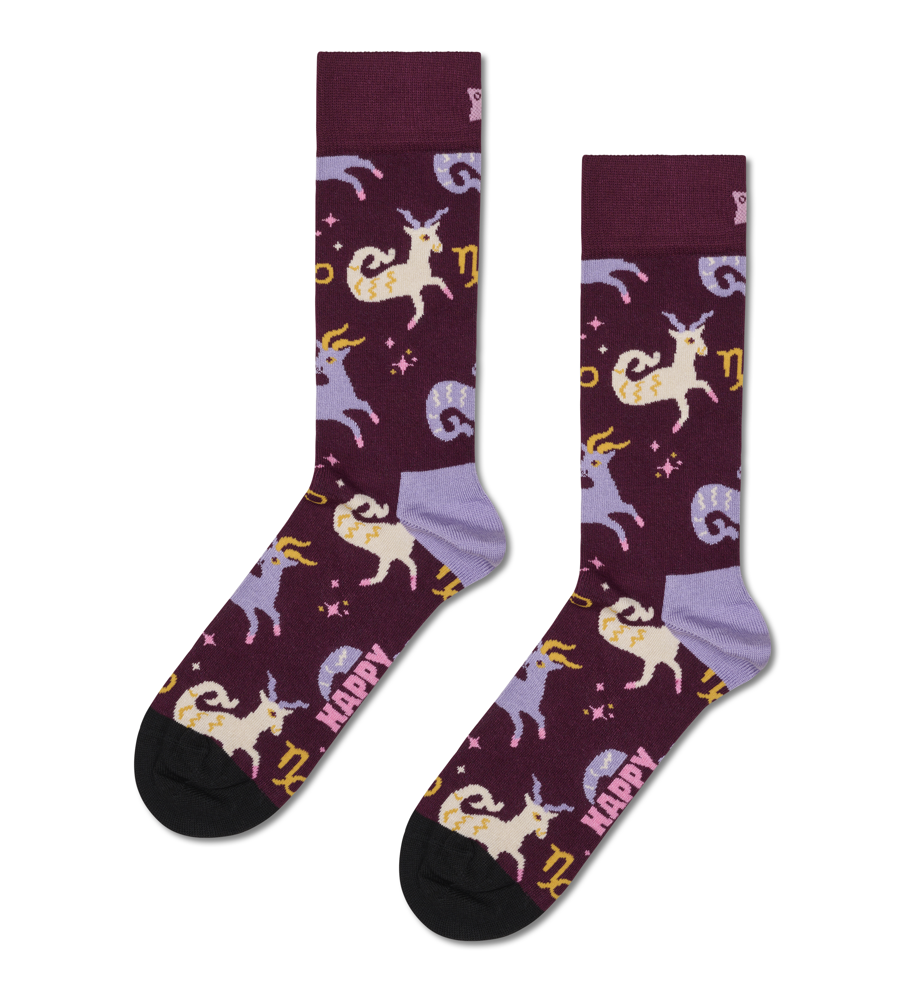 Capricorn Sock