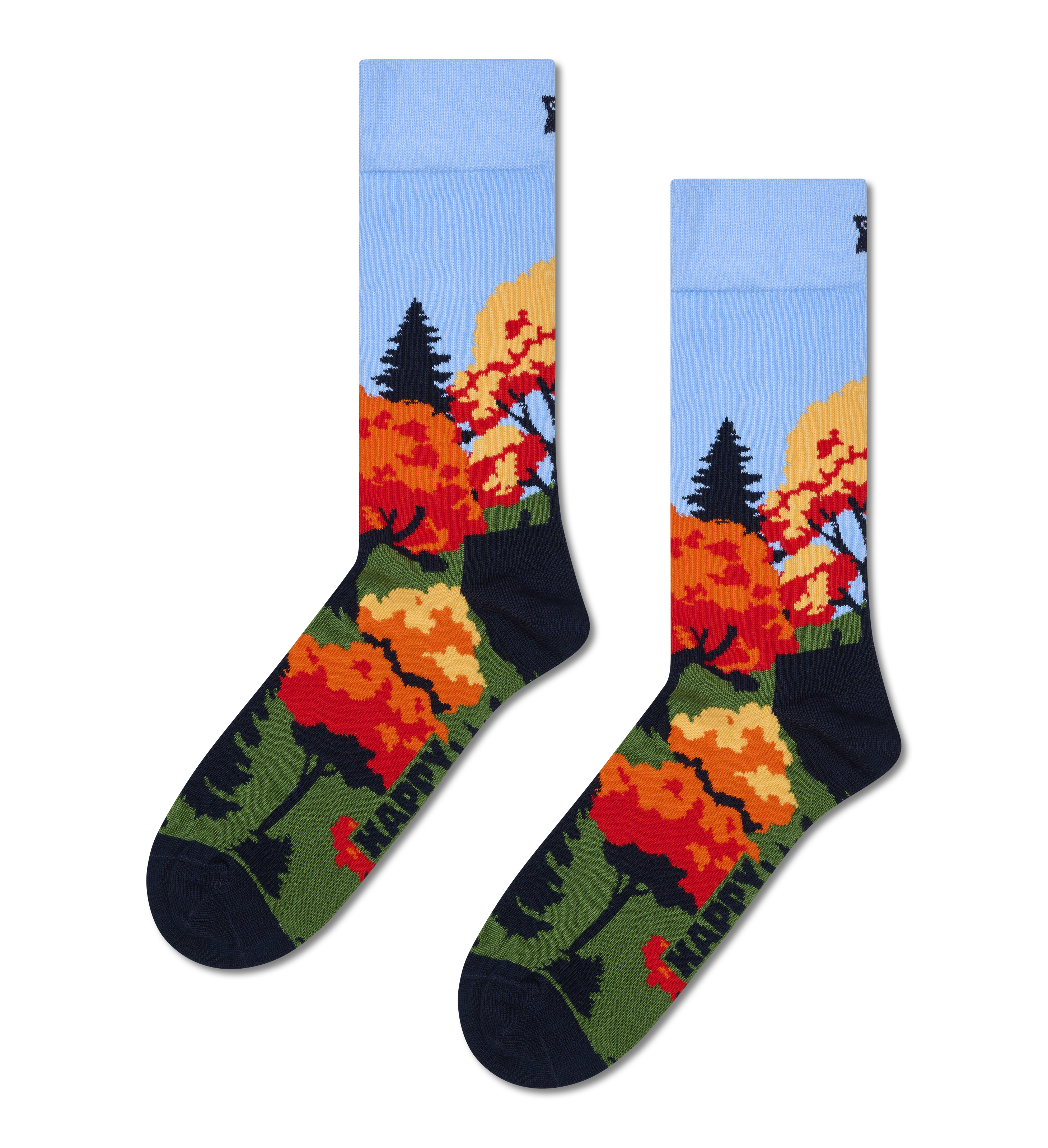 Autumn Sock