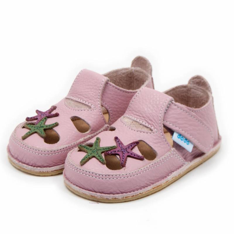 Sanda Starfish/ Cameo