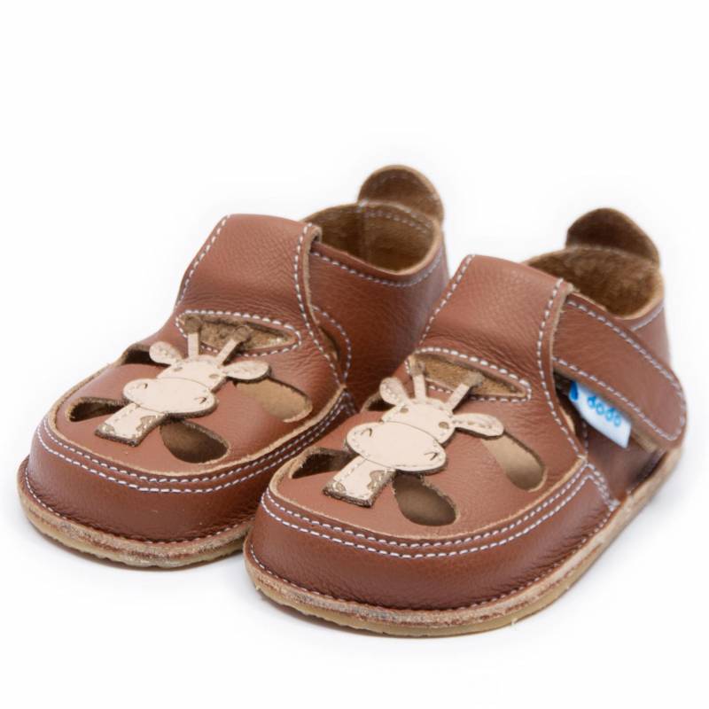 Sanda Girafa/ Camel