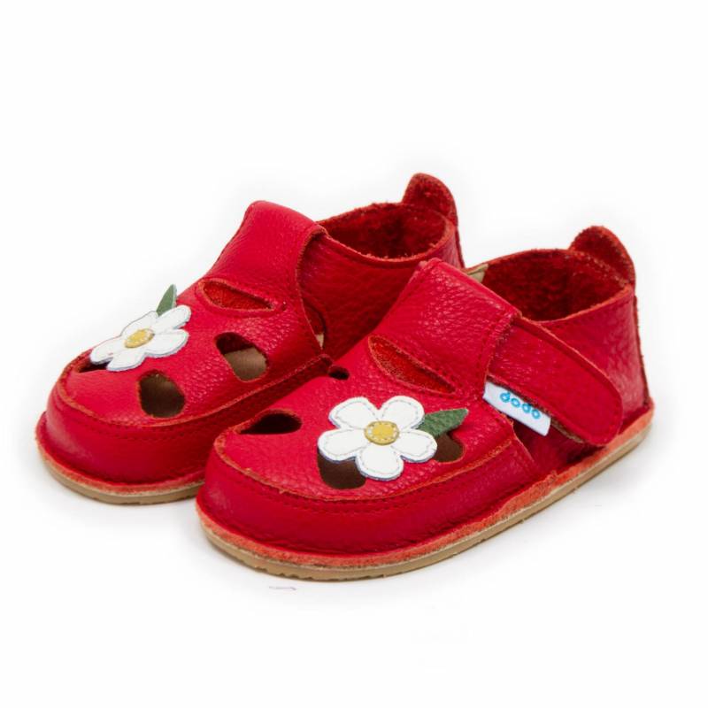 Sanda Wild Flower/ Rosu