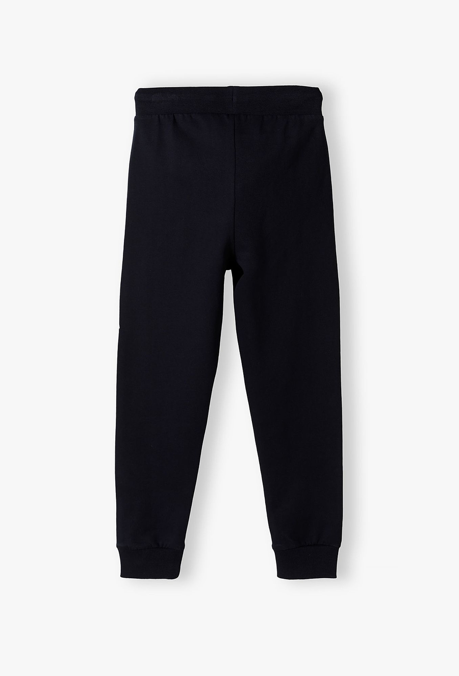 Spodnie dresowe dla chłopca - slim - Lincoln&Sharks