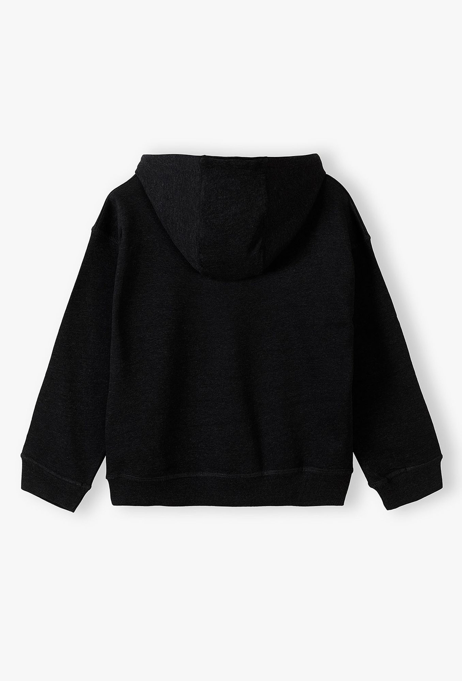 Bluza dresowa nierozpinana z kapturem - Lincoln&Sharks