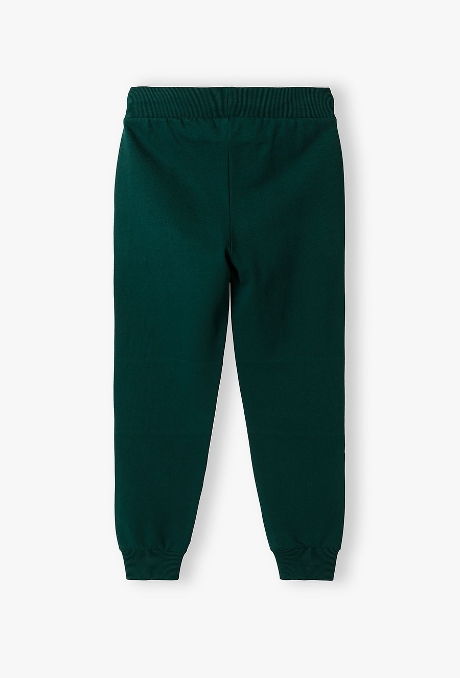 Spodnie dresowe dla chłopca - slim - Lincoln&Sharks