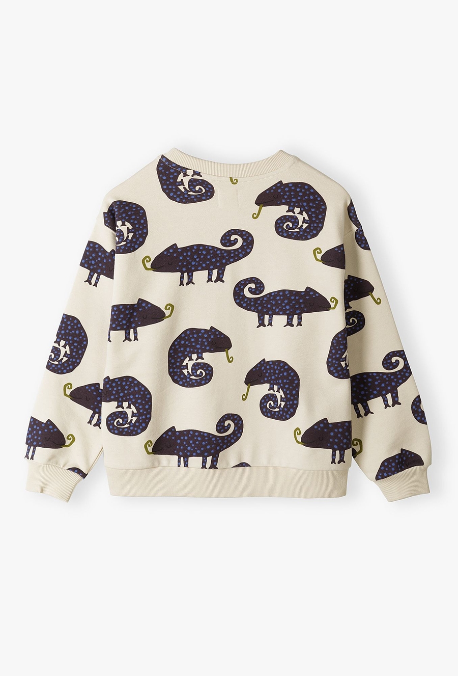 Bluza w kameleony dla małego chłopca - 510.15.