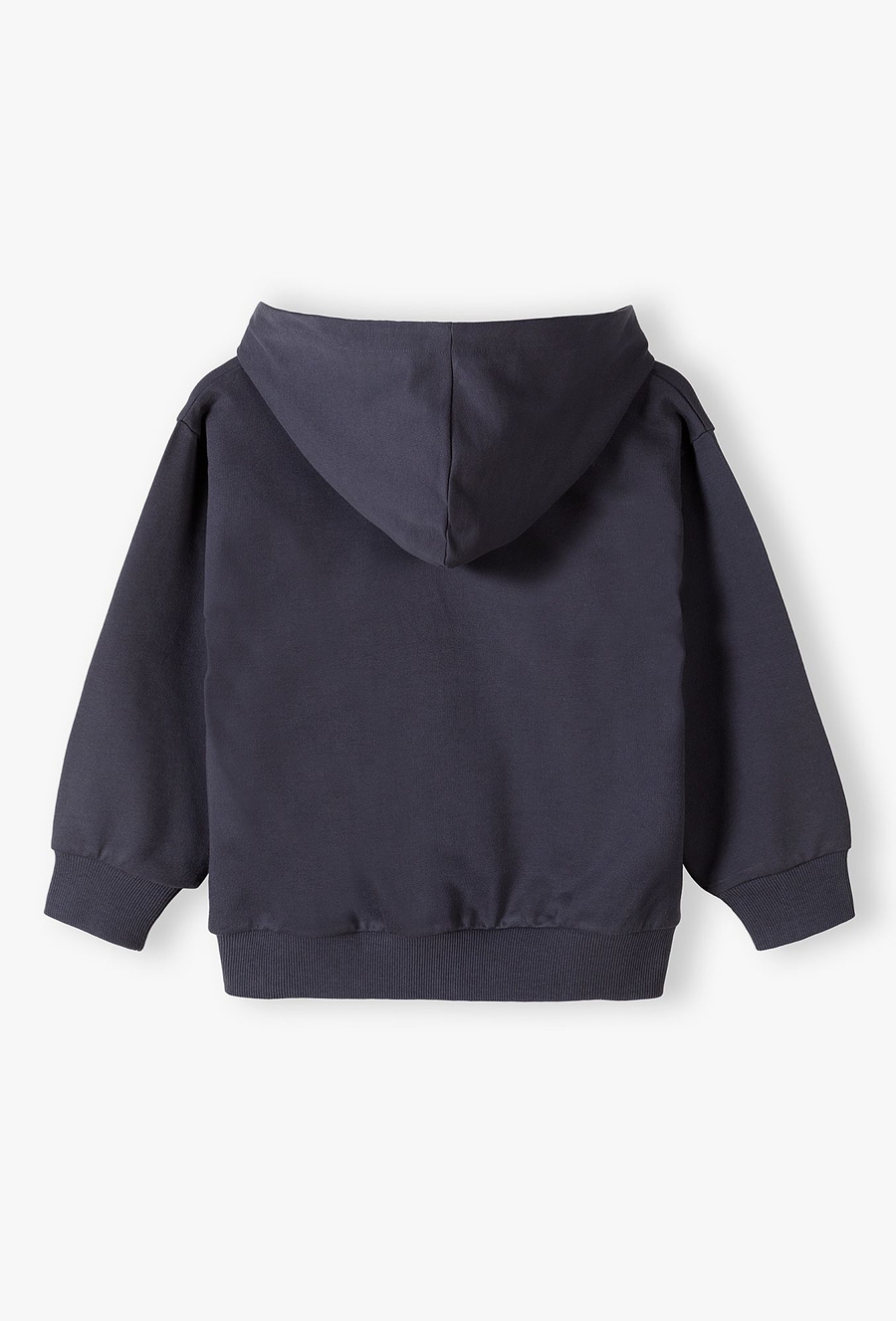 Grafitowa bluza dresowa z kapturem - 510.15.