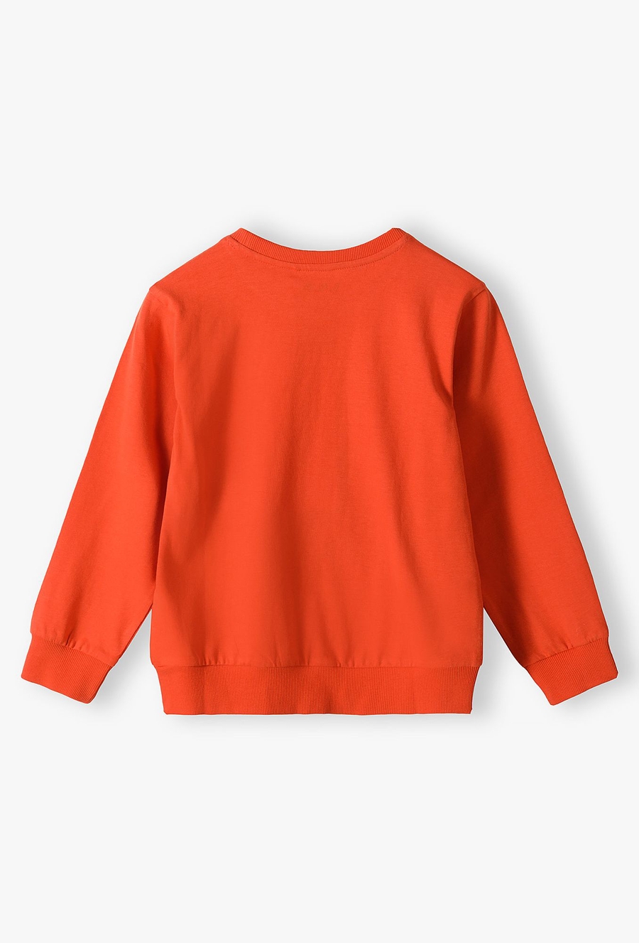 Bluzka z długim rękawem z nadrukiem w dinozaury