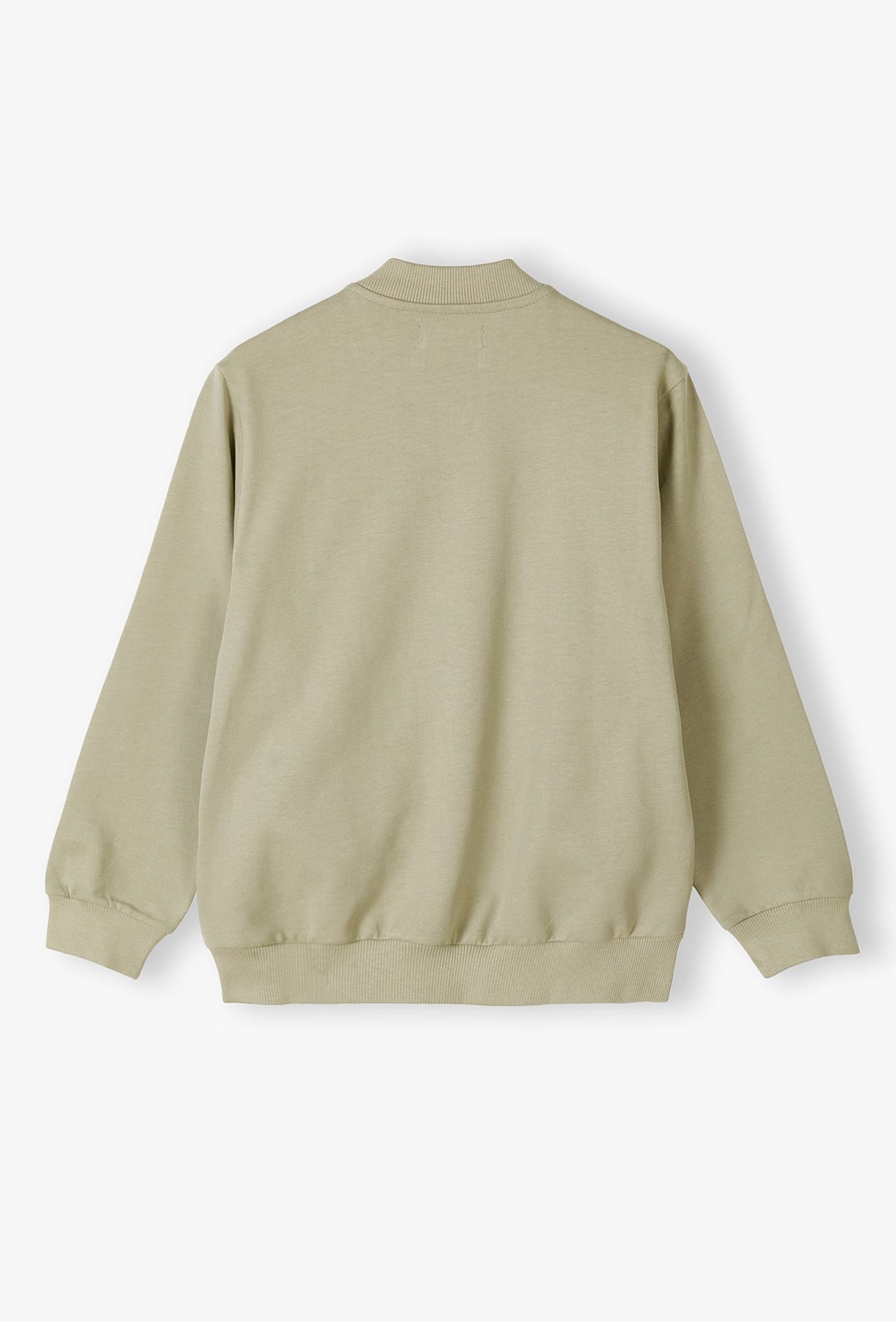 Dzianinowa bluza dresowa bez kaptura - 510.15.