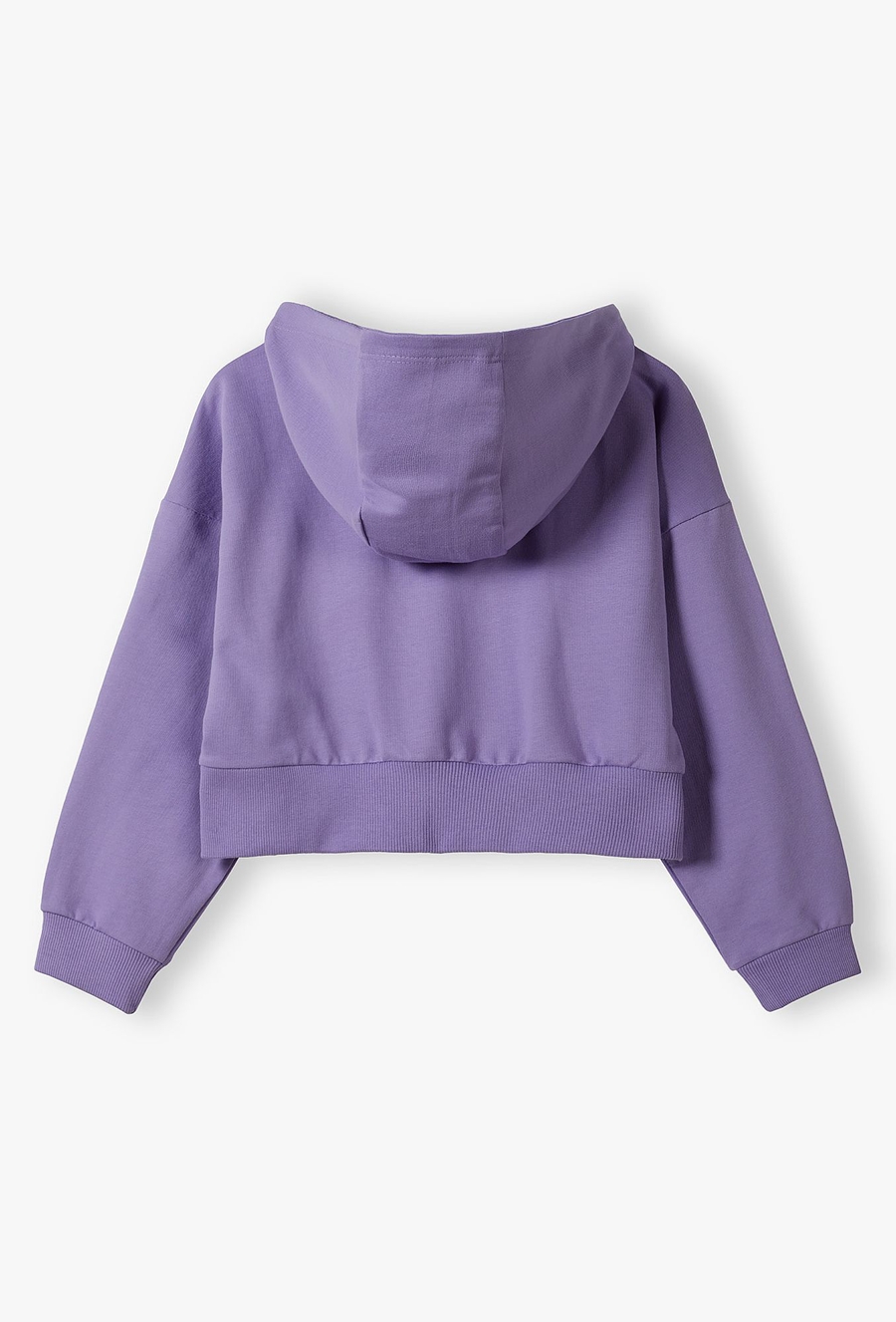 Bluza dresowa pudełkowa z kapturem - fioletowa - Lincoln&Sharks