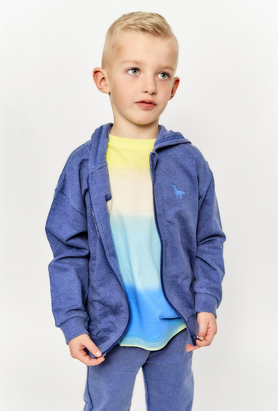 Bawełniana bluza dla chłopca - niebieska z dinozaurem