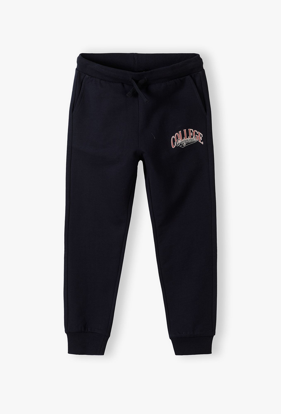 Spodnie dresowe dla chłopca - basic