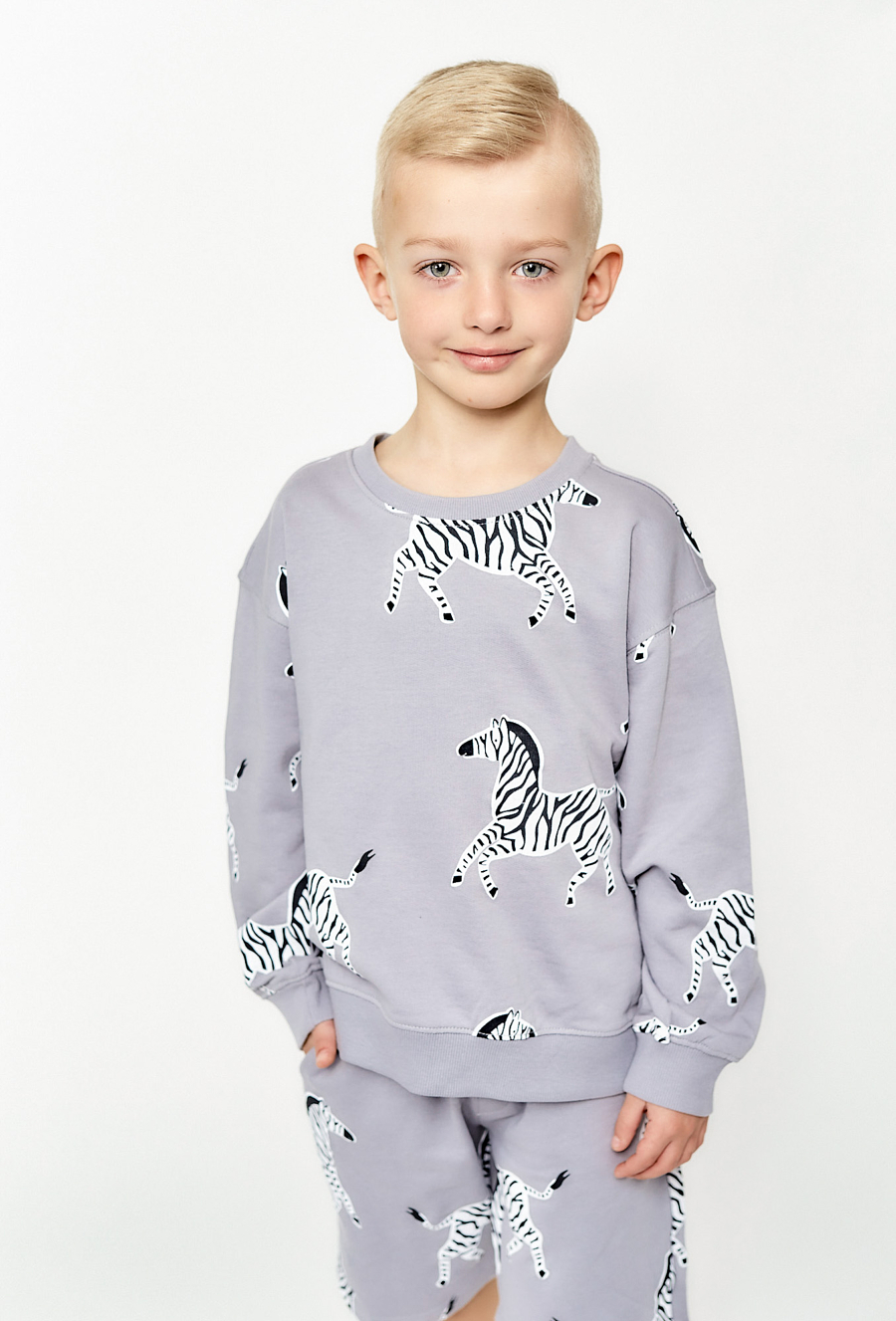 Bluza dresowa dla chłopca - szara w zebry