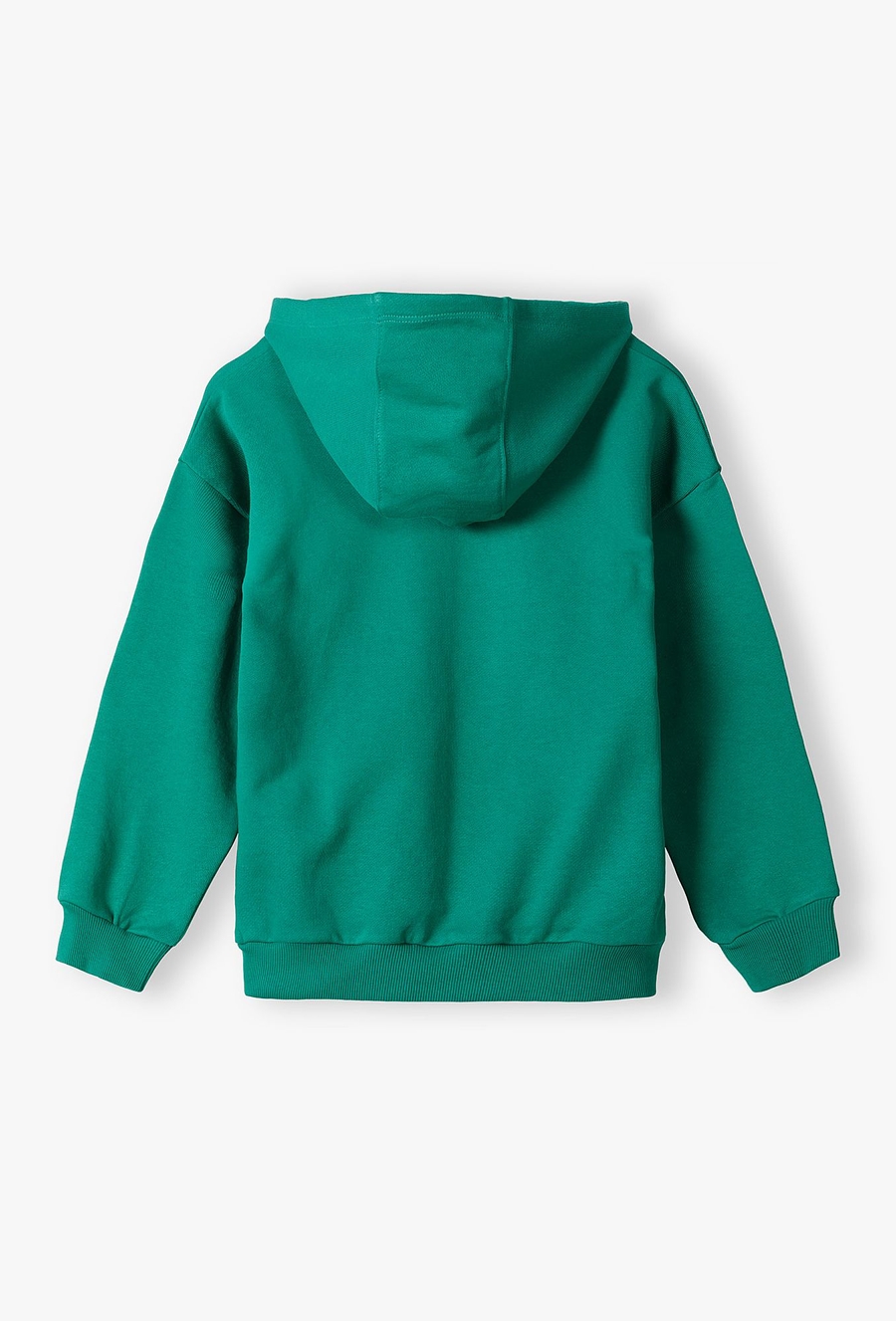 Bluza nierozpinana z kapturem