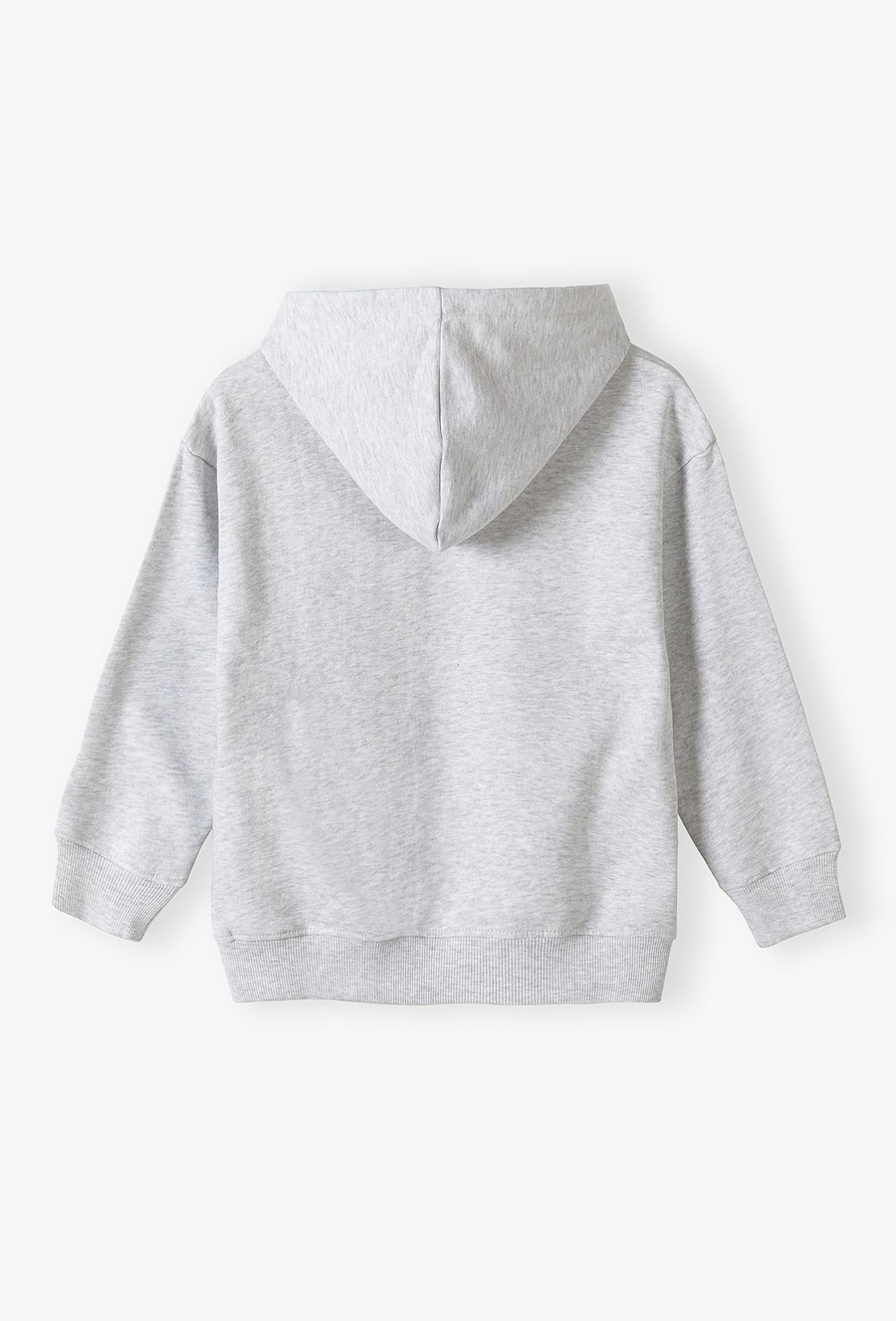 Bluza dresowa nierozpinana z kapturem - szara - 510.15.