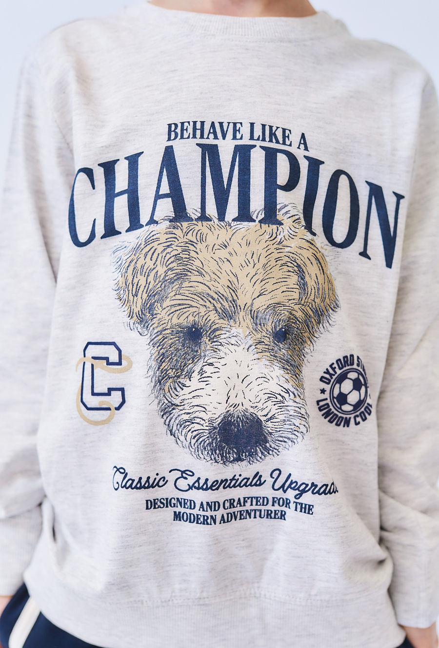 Szara bluzka chłopięca z nadrukiem CHAMPION i psem.