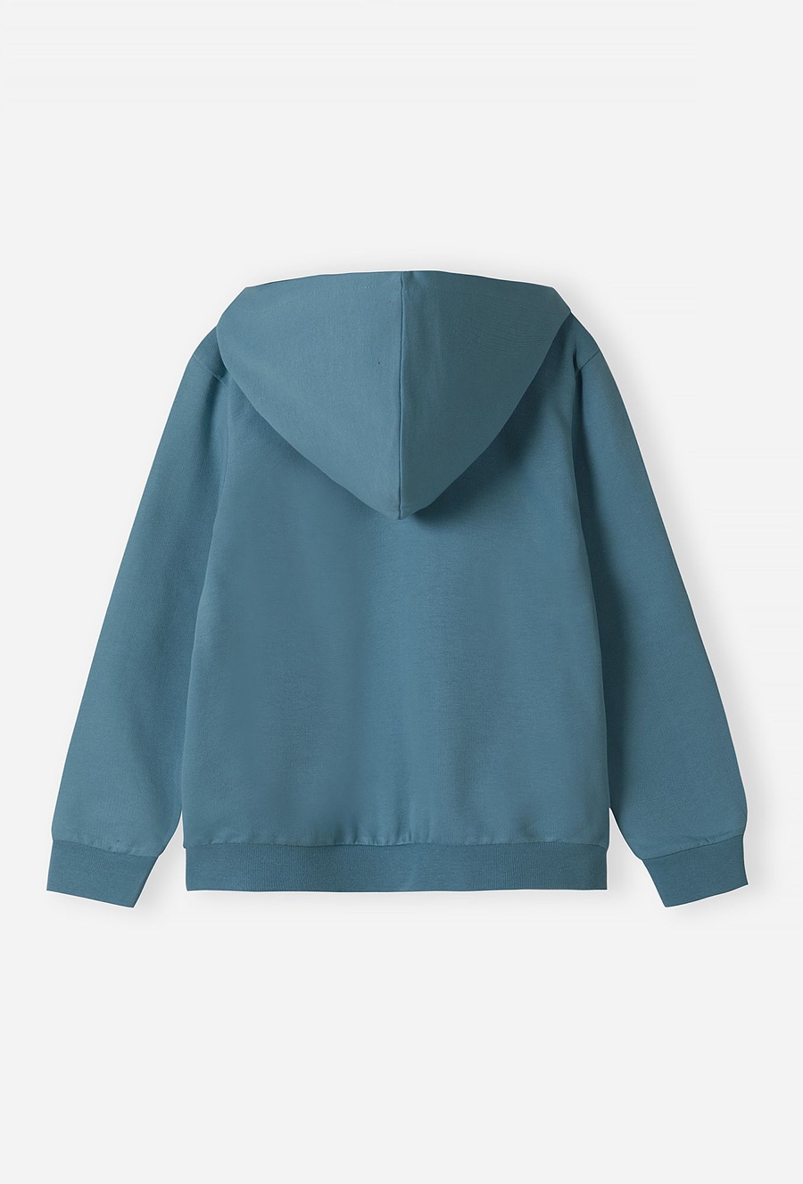 Bluza z kapturem dla dziewczynki - niebieska z konikiem