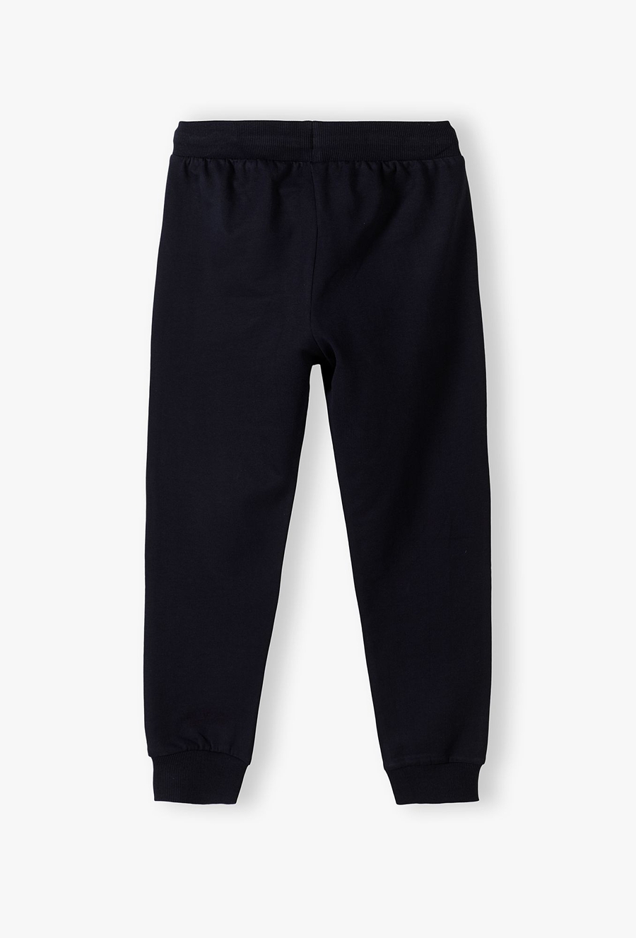 Spodnie dresowe dla chłopca - basic