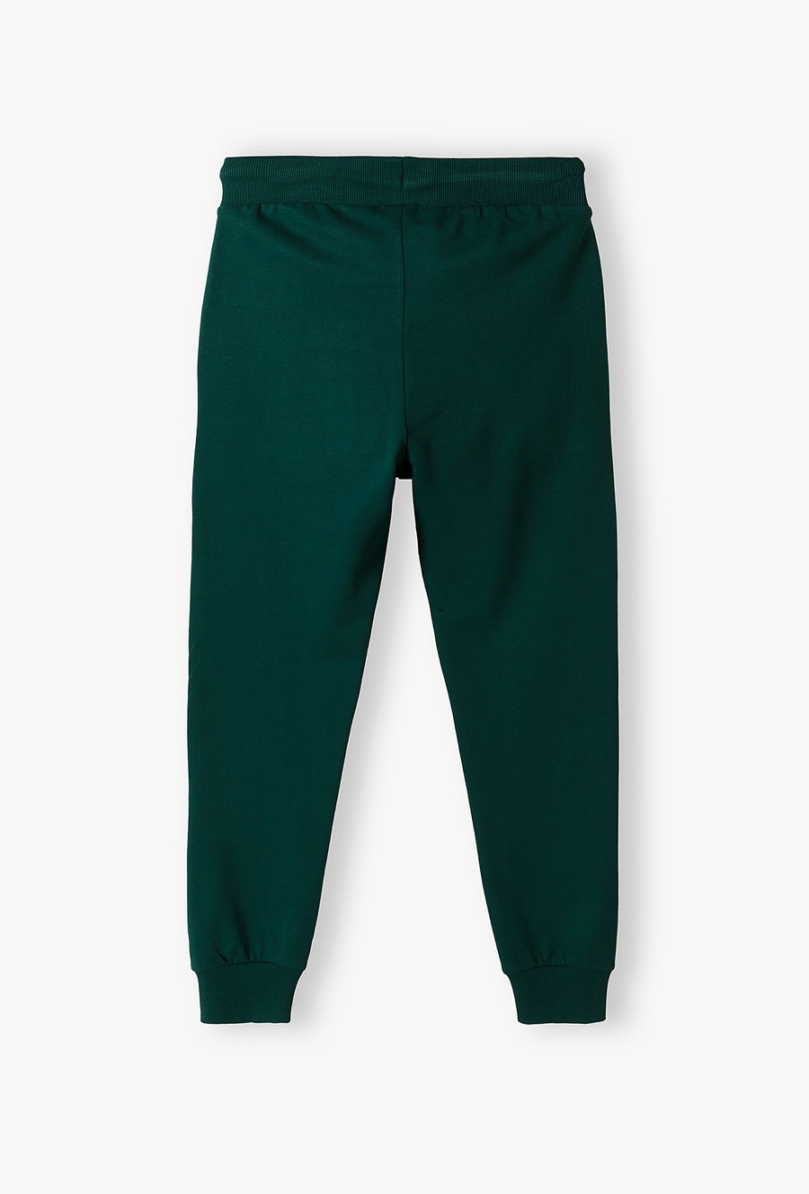 Dzianinowe spodnie dresowe dla chłopca - Lincoln&Sharks