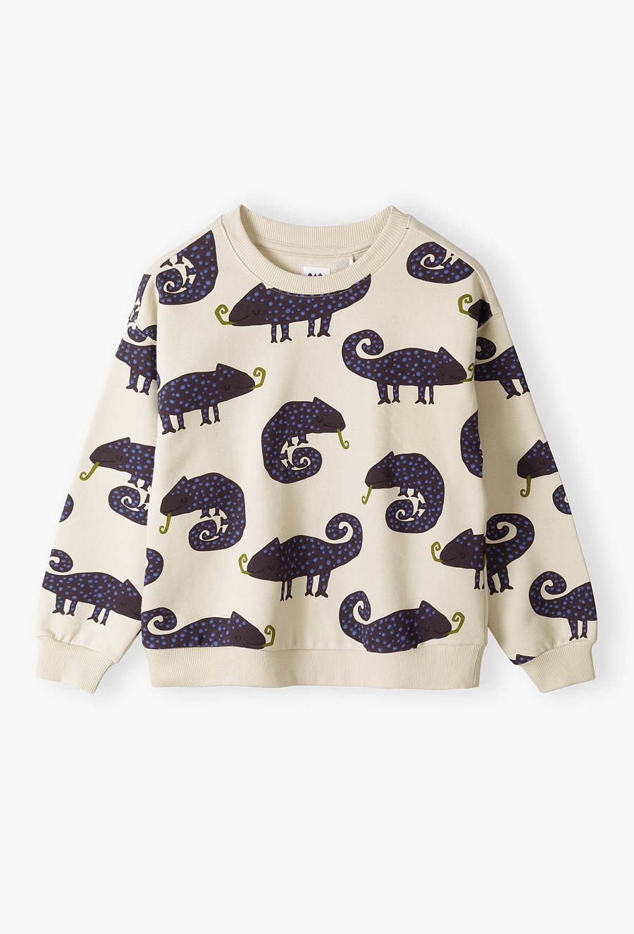 Bluza w kameleony dla małego chłopca - 510.15.