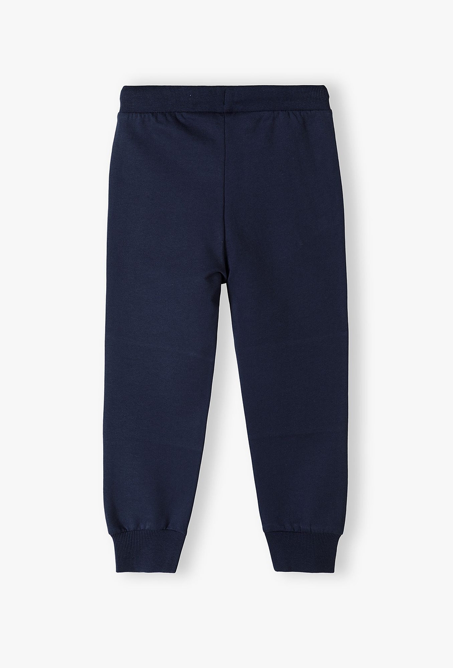 Spodnie dresowe ze wzmacnianymi kolanami - regular - 510.15.