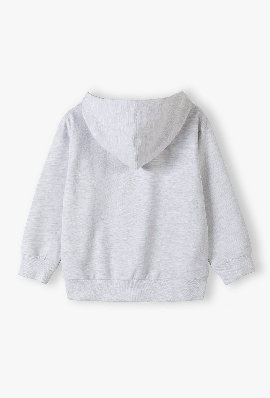 Bluza dresowa z kapturem - rozpinana szara - Limited Edition