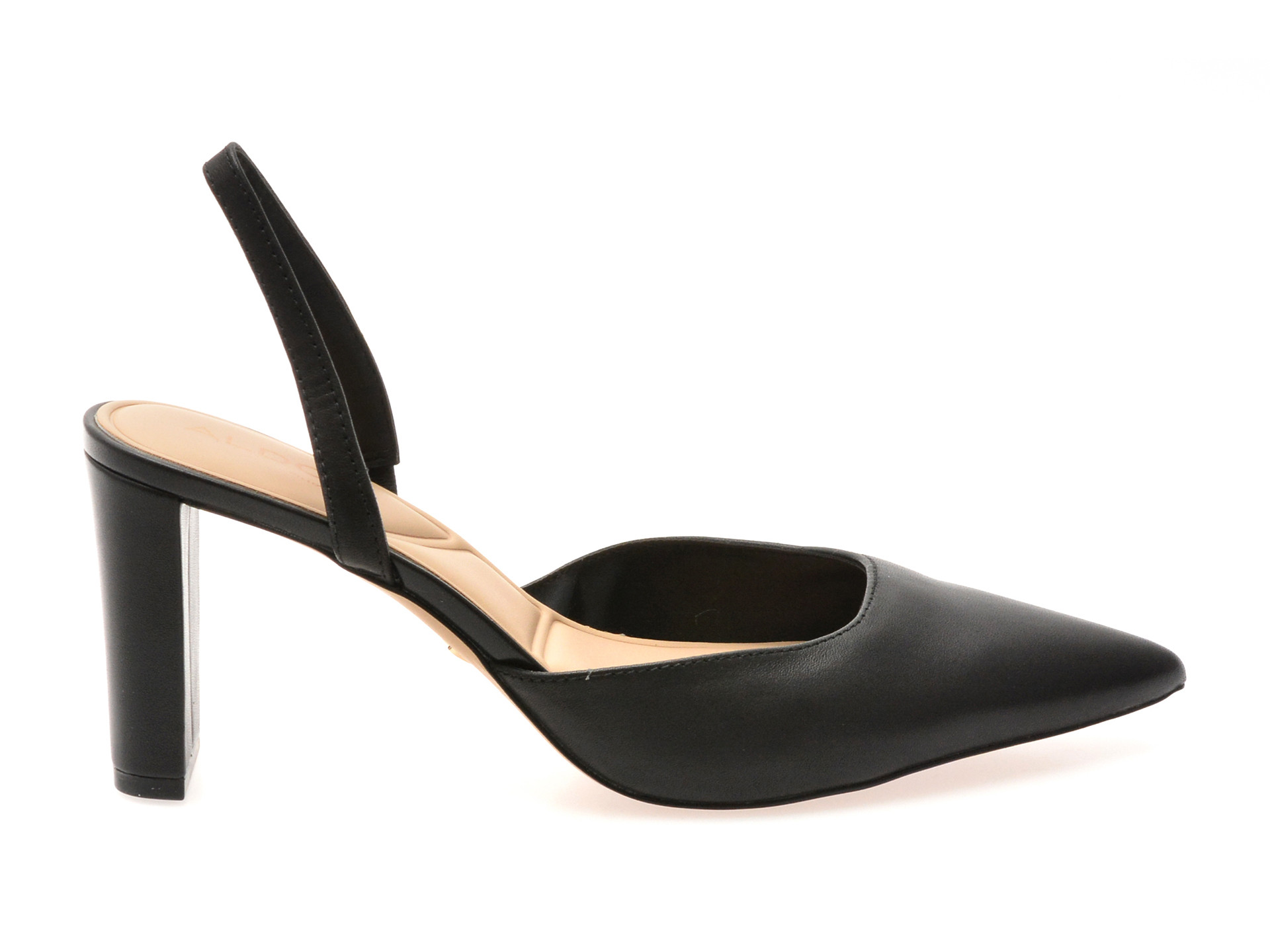Pantofi eleganti ALDO negri, OLAELDAN 001, din piele naturala
