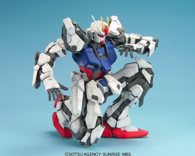 PG Gundam Strike 1/60