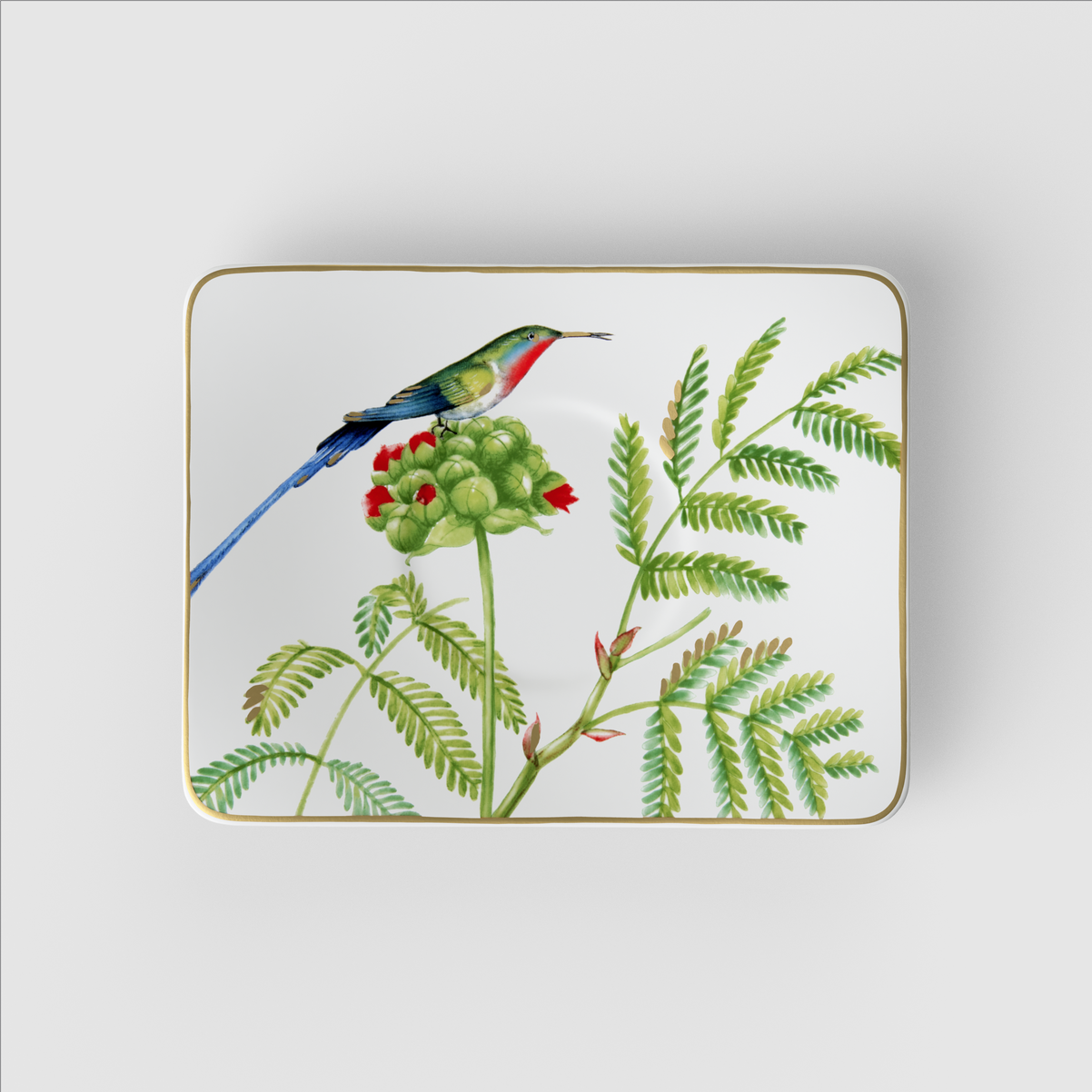 Amazonia Kaffee-Untertasse / 1 Stück