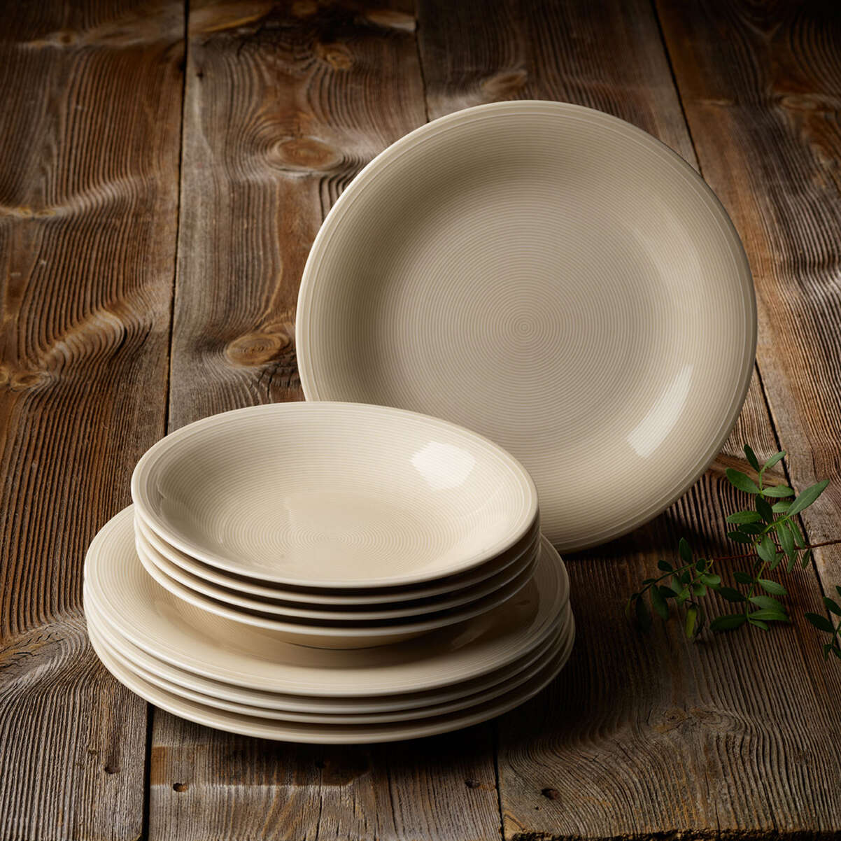 Color Loop Dinner-Set / 8-teilig