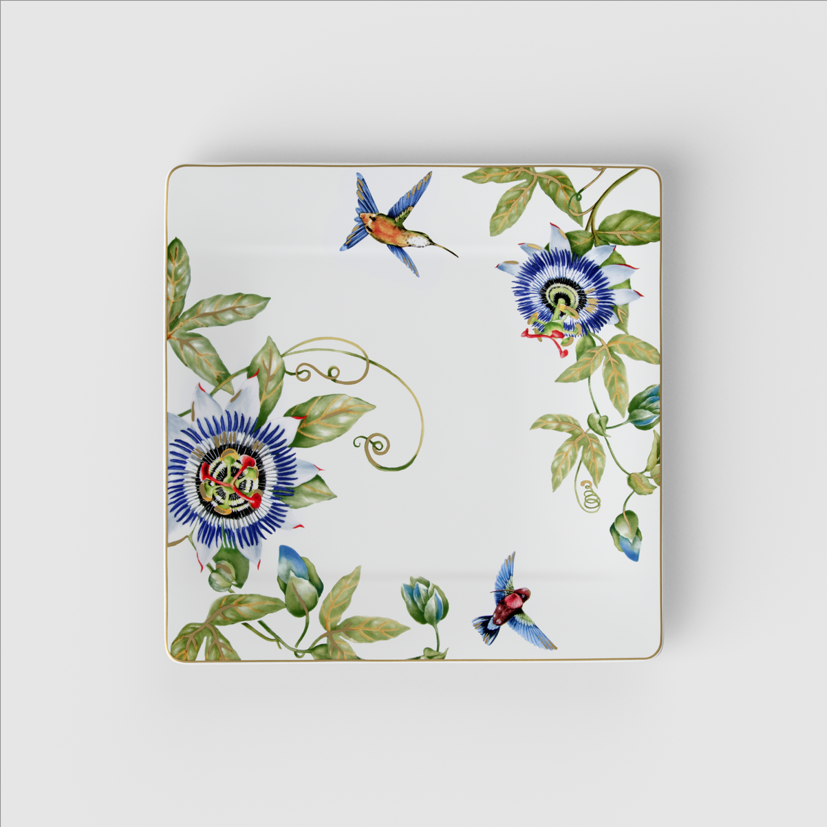 Amazonia Gourmetteller / 1 Stück