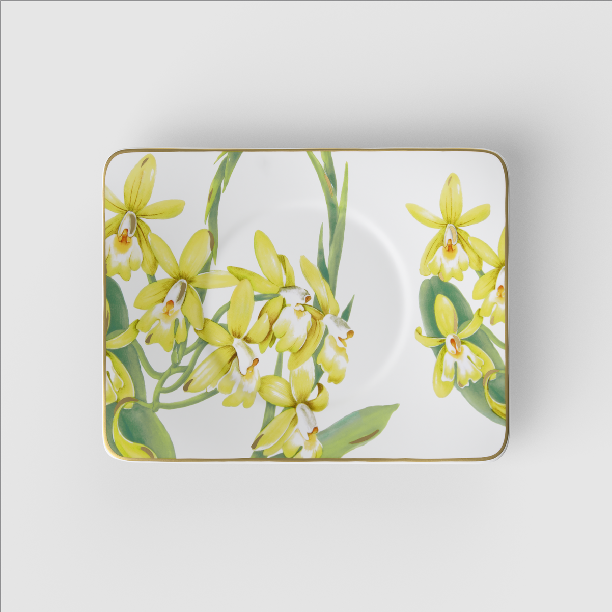 Amazonia Tee-Untertasse / 1 Stück