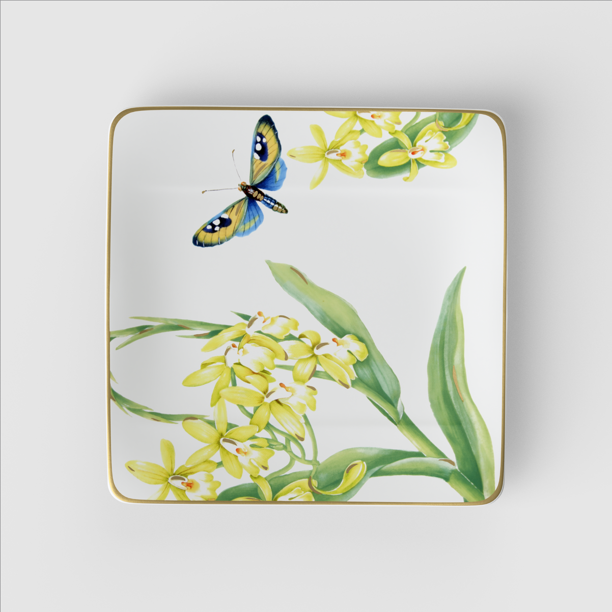 Amazonia Frühstücks-/ Dessertteller / 1 Stück