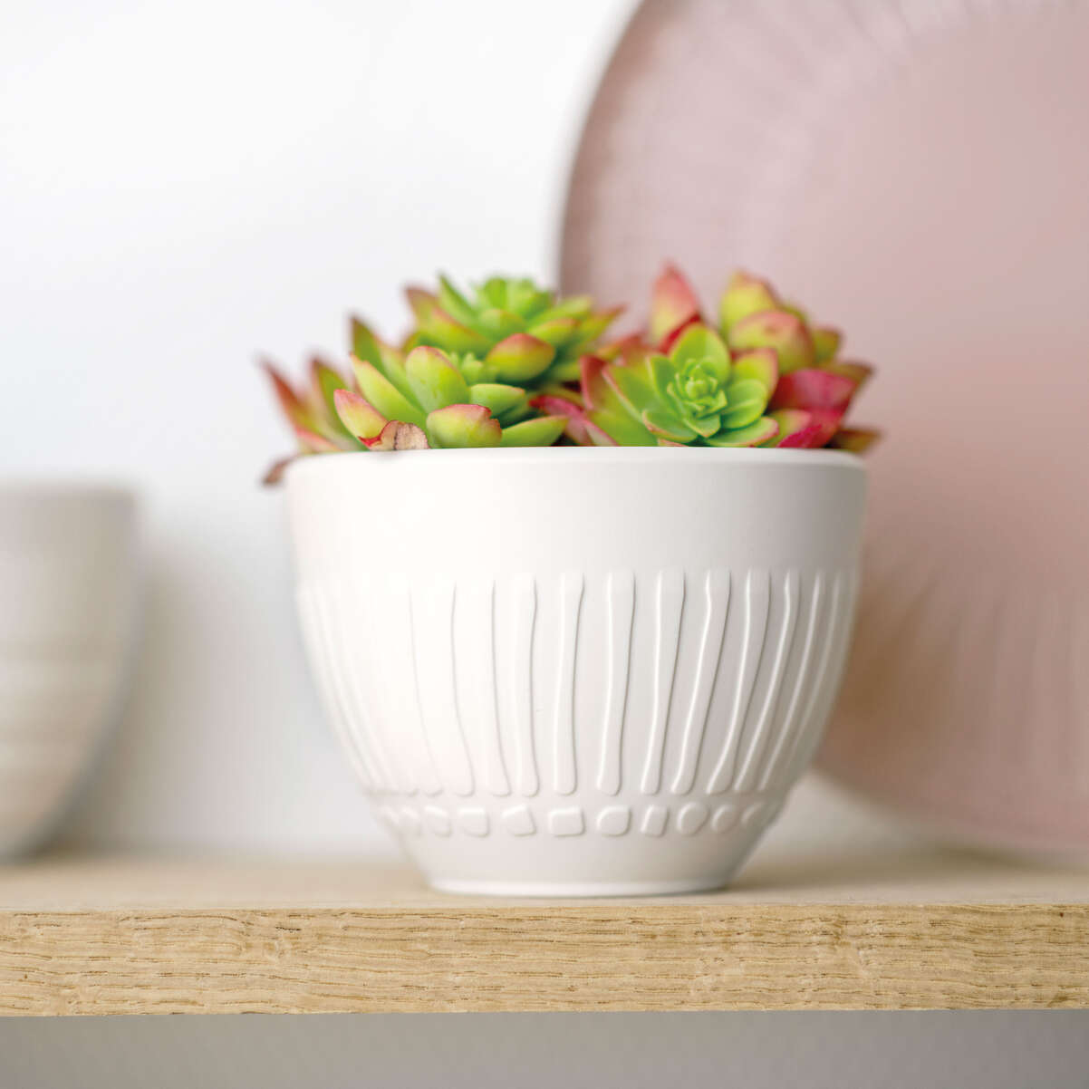 it's my match Kaffeebecher / 1 Stück