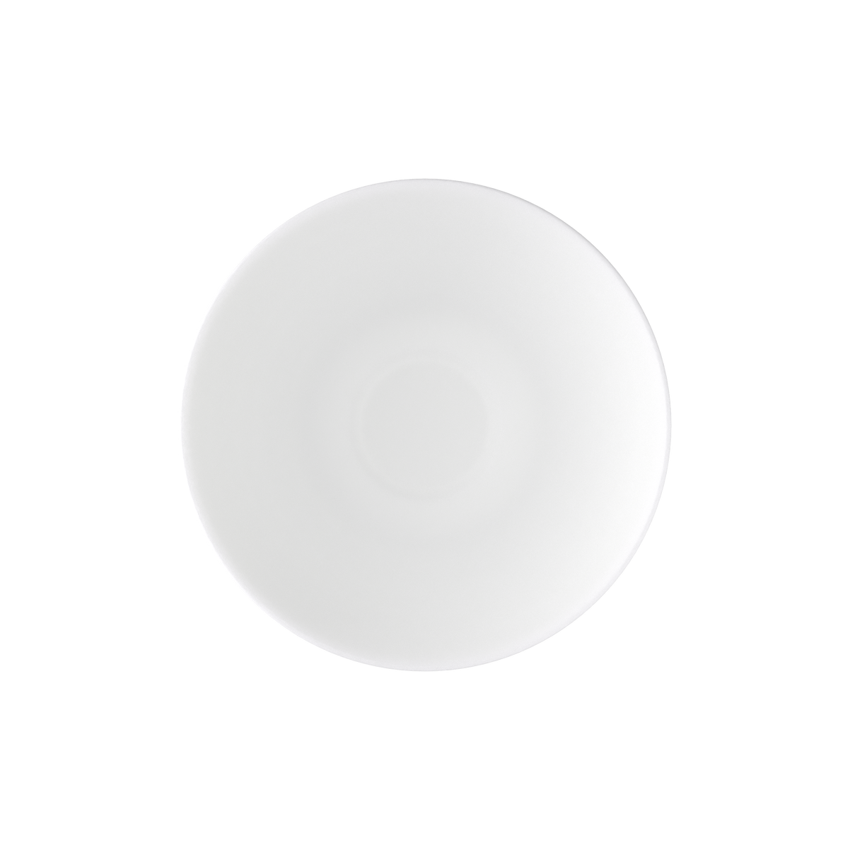 Anmut Kaffee-Untertasse / 1 Stück