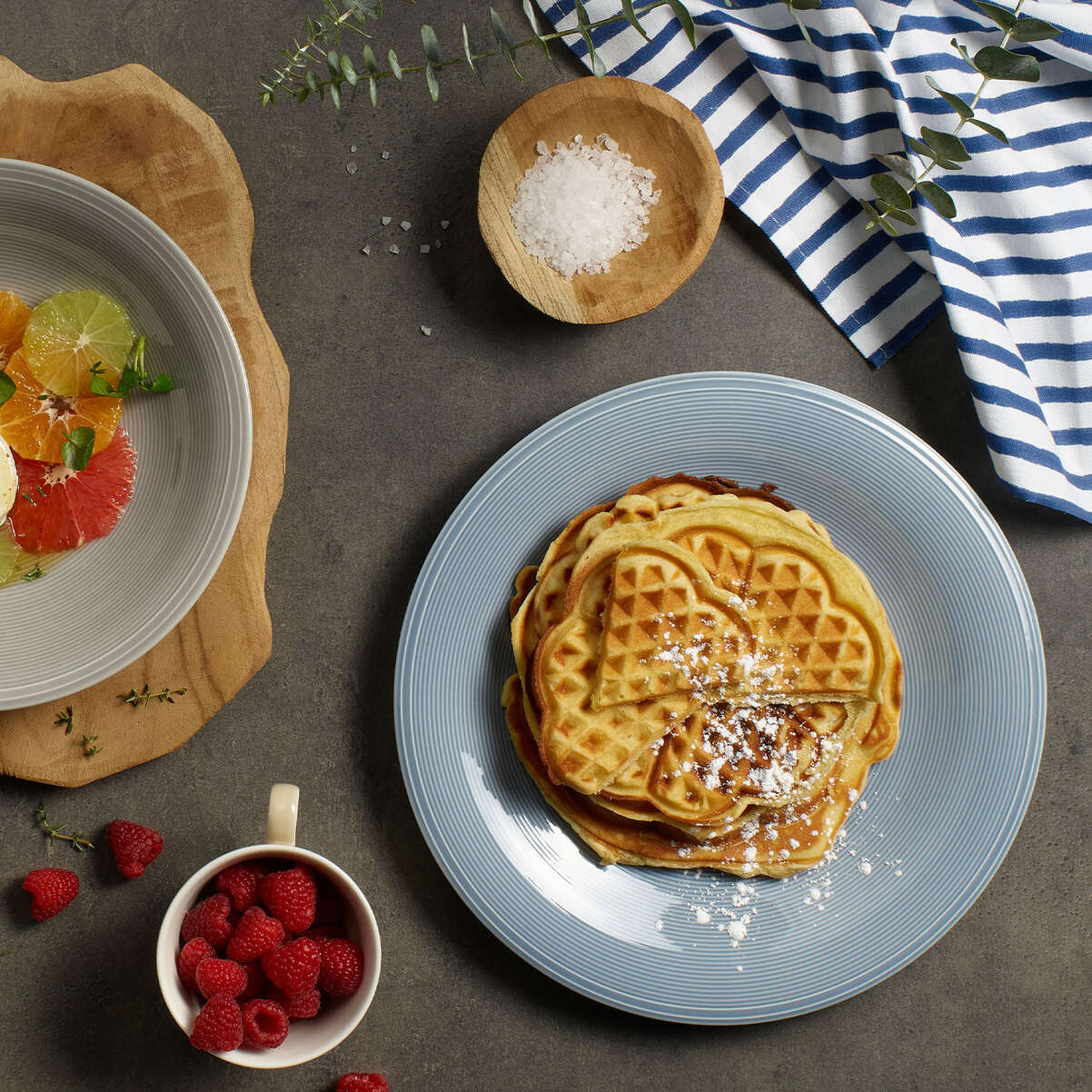 Color Loop Speiseteller / 1 Stück