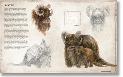 Star Wars: Bestiary, Vol. 1