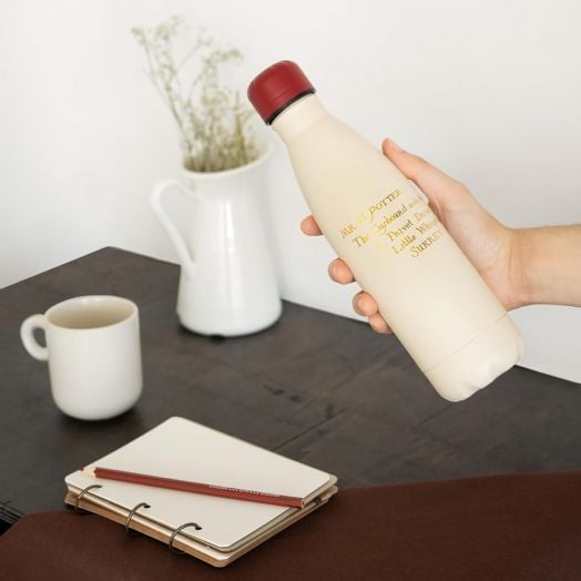 Метална бутилка  Grupo Erik Harry Potter Hedwig, 500 мл.