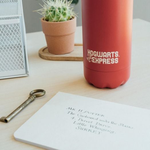 Метална бутилка Grupo Erik Harry Potter Platform 9 3/4, 500 мл.