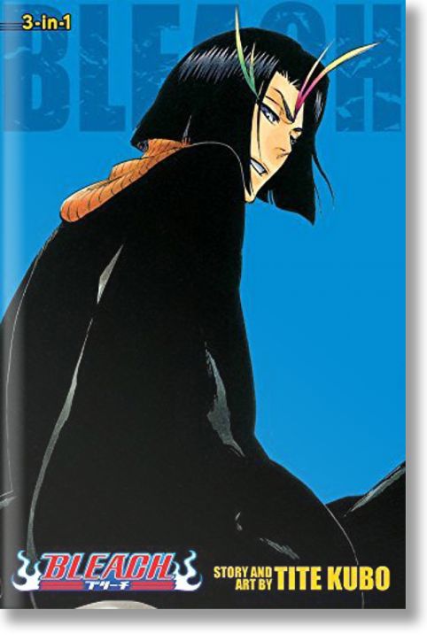 Bleach (3-in-1 Edition), Vol. 13