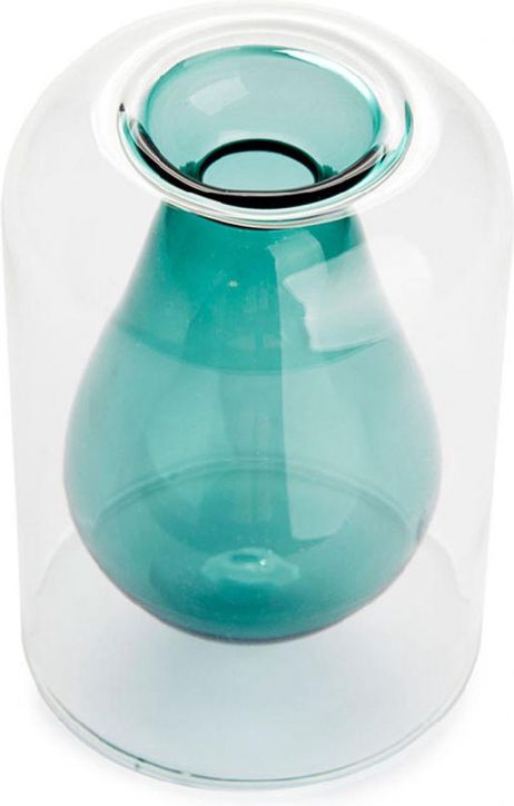 Отглеждане на семена Balvi - Авокадо