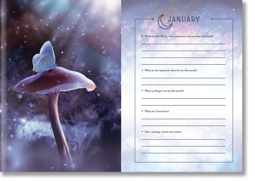 2025 Lunar and Seasonal Diary Northern Hemisphere