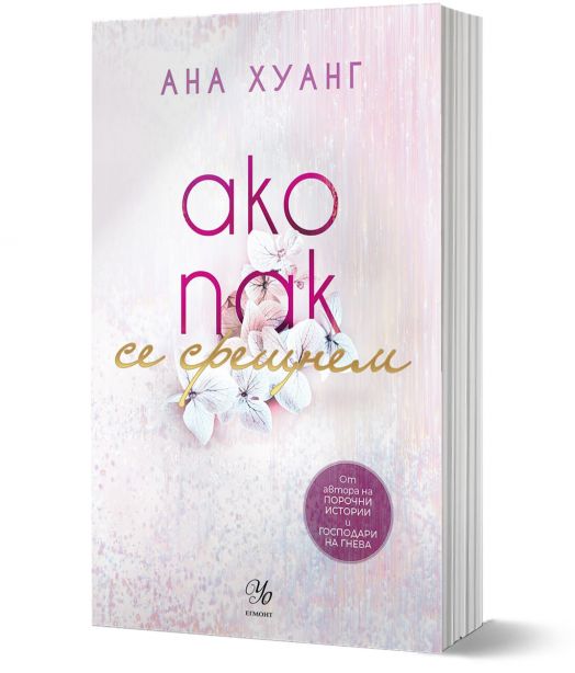 Ако любовта беше, книга 1: Ако пак се срещнем