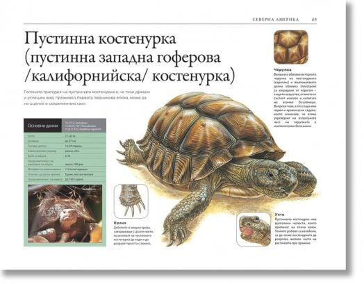 Атлас на застрашените животни. Животинският свят на Земята под заплаха