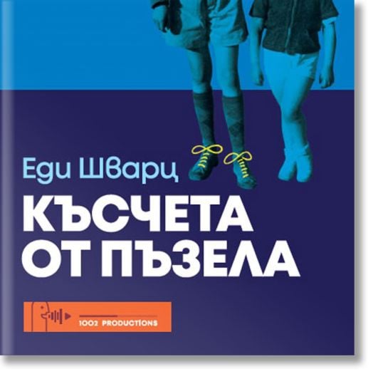 Аудио книга: Късчета от пъзела